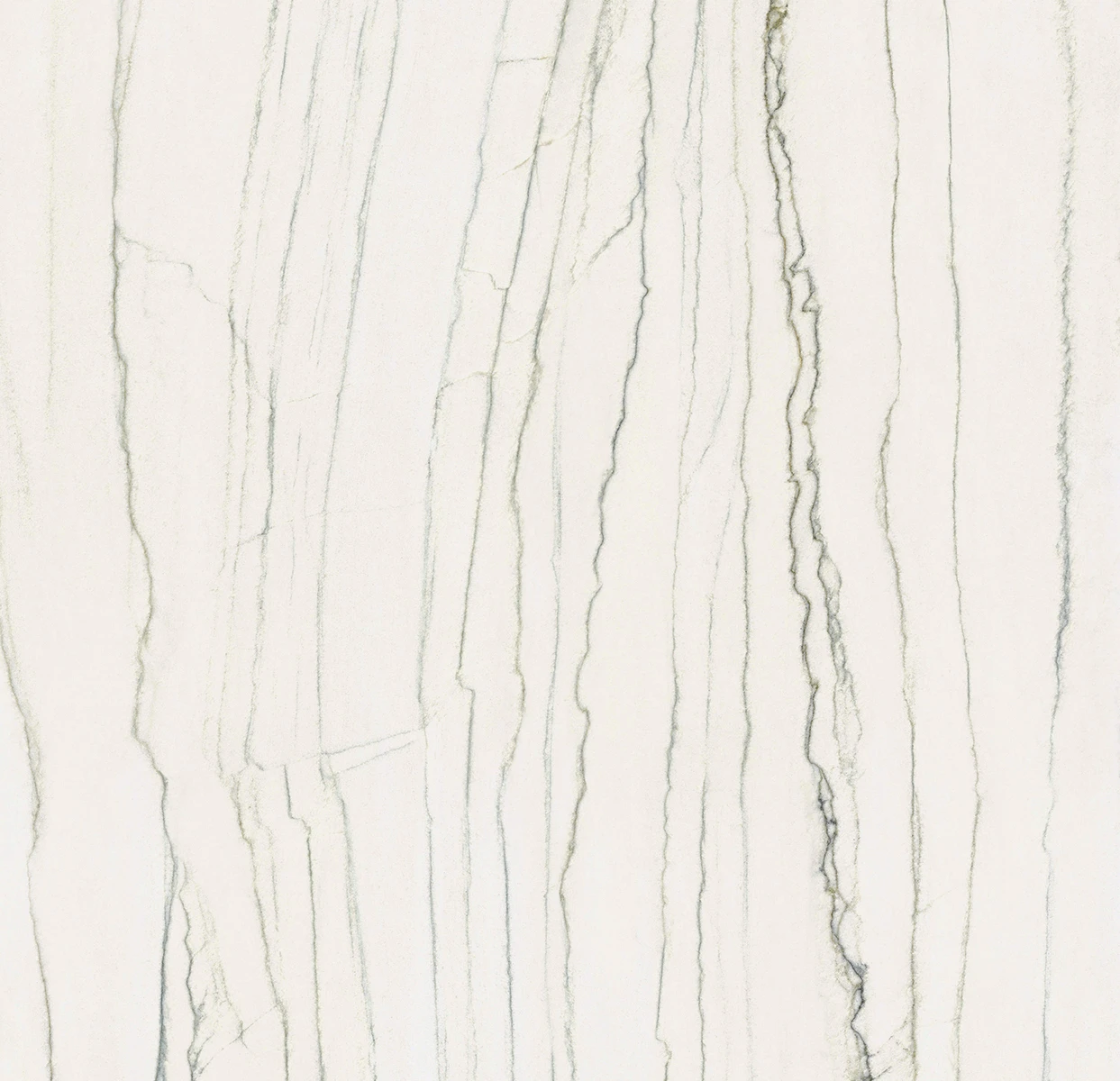 Ava ceramica Marmi White Macauba 120x120 cm